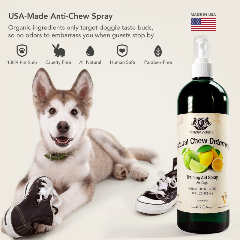 what is the best anti chew spray for dogs