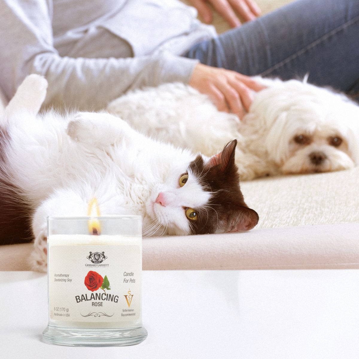 Pet best sale deodorizer candle