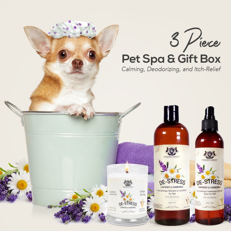 Essential Oils for a Dog's Dry Skin – Gerrard Larriett