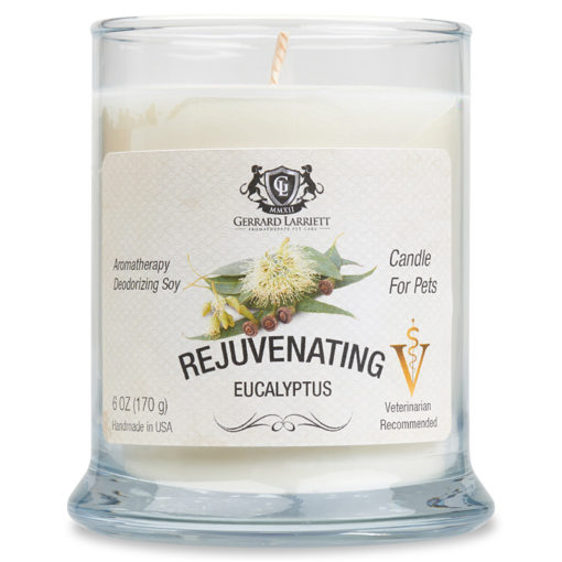 Rejuvenating Eucalyptus Aromatherapy Deodorizing Soy Candle For Pets