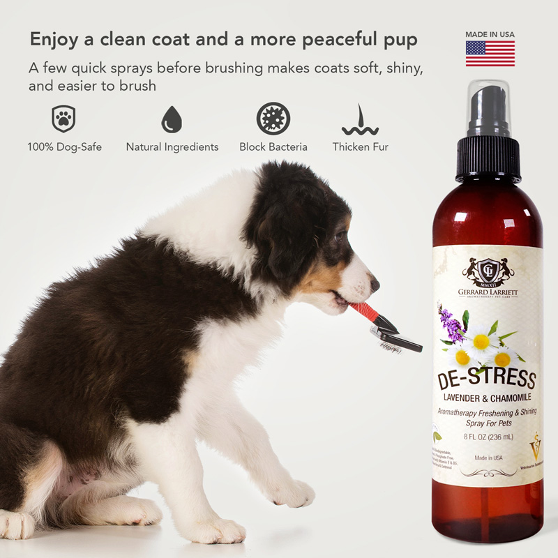 Natural Dog Pet Odor Eliminator Spray - Gerrard Larriett