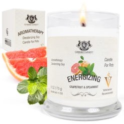 Grapefruit Aromatherapy Pet Candle