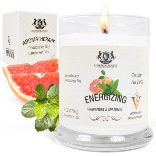 Grapefruit Aromatherapy Pet Candle