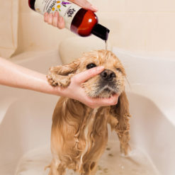 Pet Shampoo