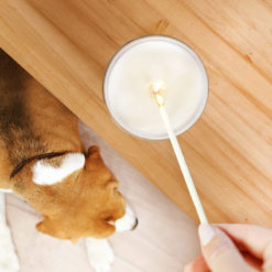 Lemongrass Aromatherapy Pet Candle