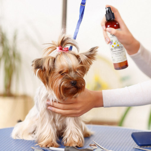 Aromatherapy Pet Spray