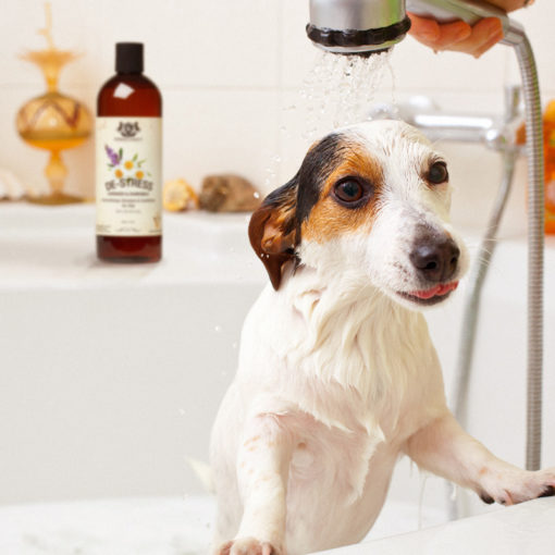 Pet Shampoo