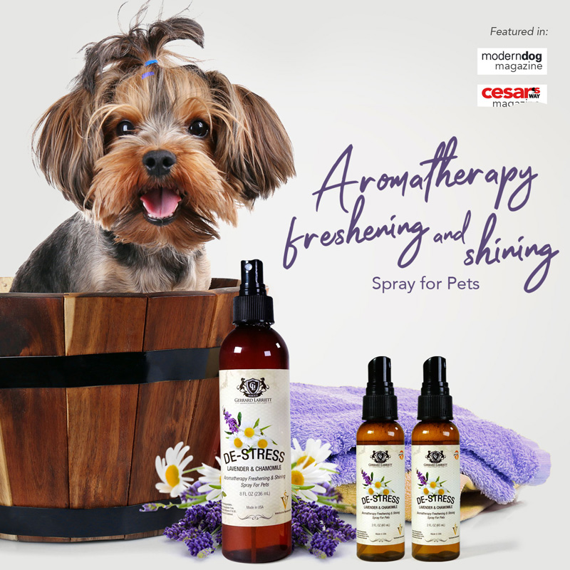  Lavender Oil Dog Deodorizing Spray - Dog Spray for Smelly Dogs  and Puppies and Dog Calming Spray with Lavender Essential Oil - Lightly  Scented Dog Deodorizer for Smelly Dogs and Dog