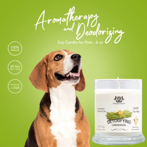 Lemongrass Aromatherapy Pet Candle