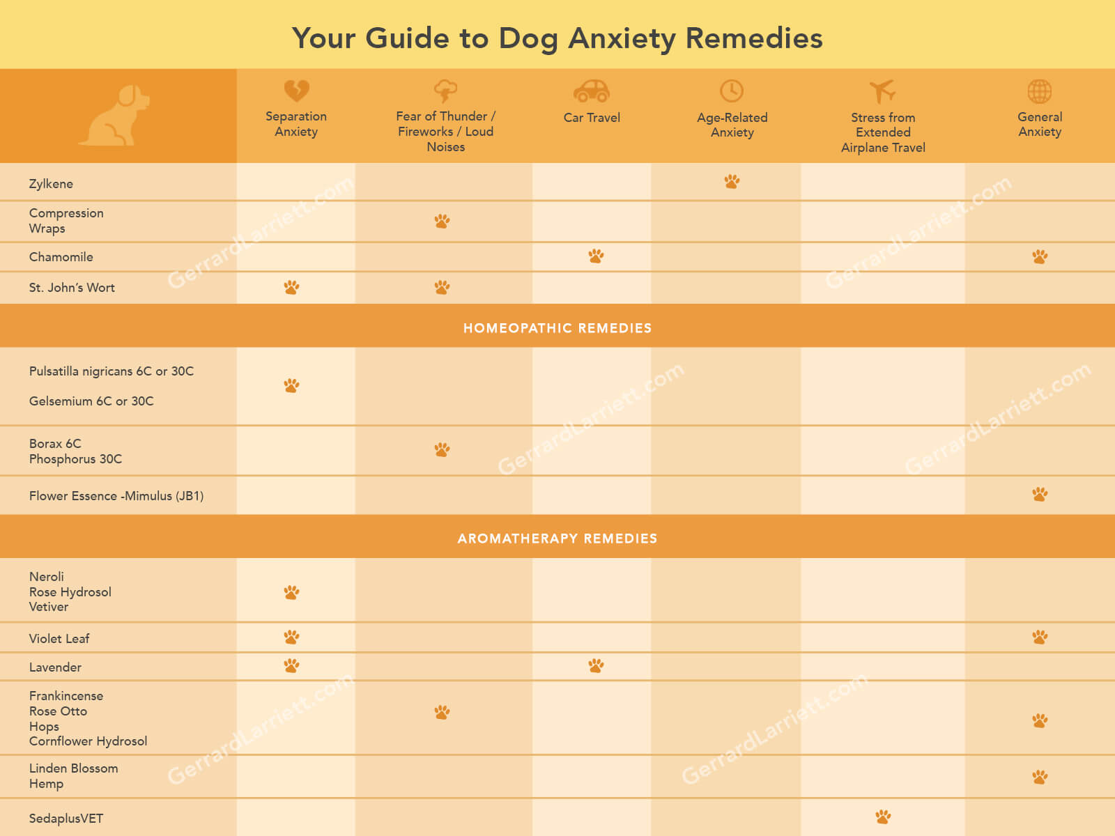 Dog Anxiety Remedies Guide