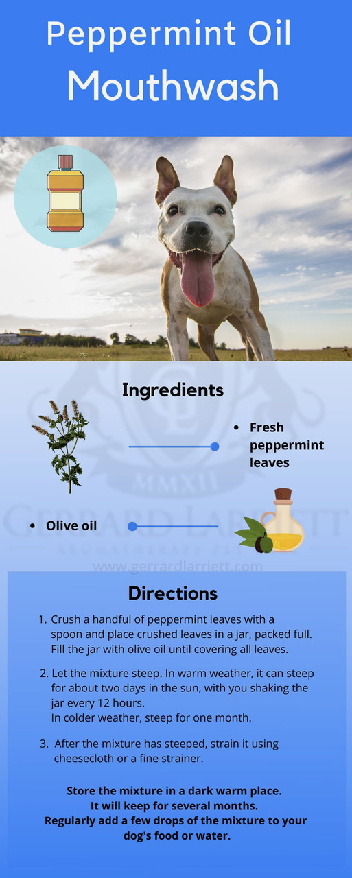 can apple cider vinegar helpn with bad breath in dogs