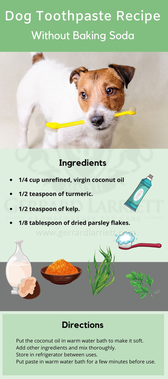 Natural Remedies for Bad Dog Breath | Gerrard Larriett